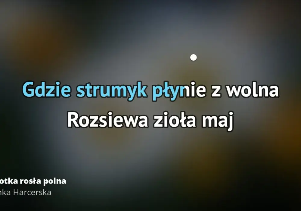 Tekst piosenki gdzie strumyk płynie z wolna: poznaj wszystkie zwrotki