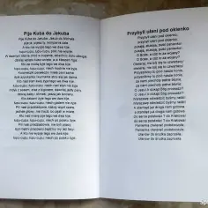 Jak zem lecioł na wesele - poznaj cały tekst popularnej pieśni biesiadnej