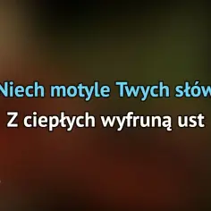 Tekst piosenki Cisza jak ta: poznaj kultowy utwór Budki Suflera