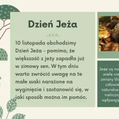 Tekst piosenki dokąd tupta nocą jeż - ulubiona melodia wszystkich dzieci