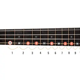 Schemat gry na ukulele: nazwy strun (GCEA) i dźwięki na gryfie od 1. do 12. progu.